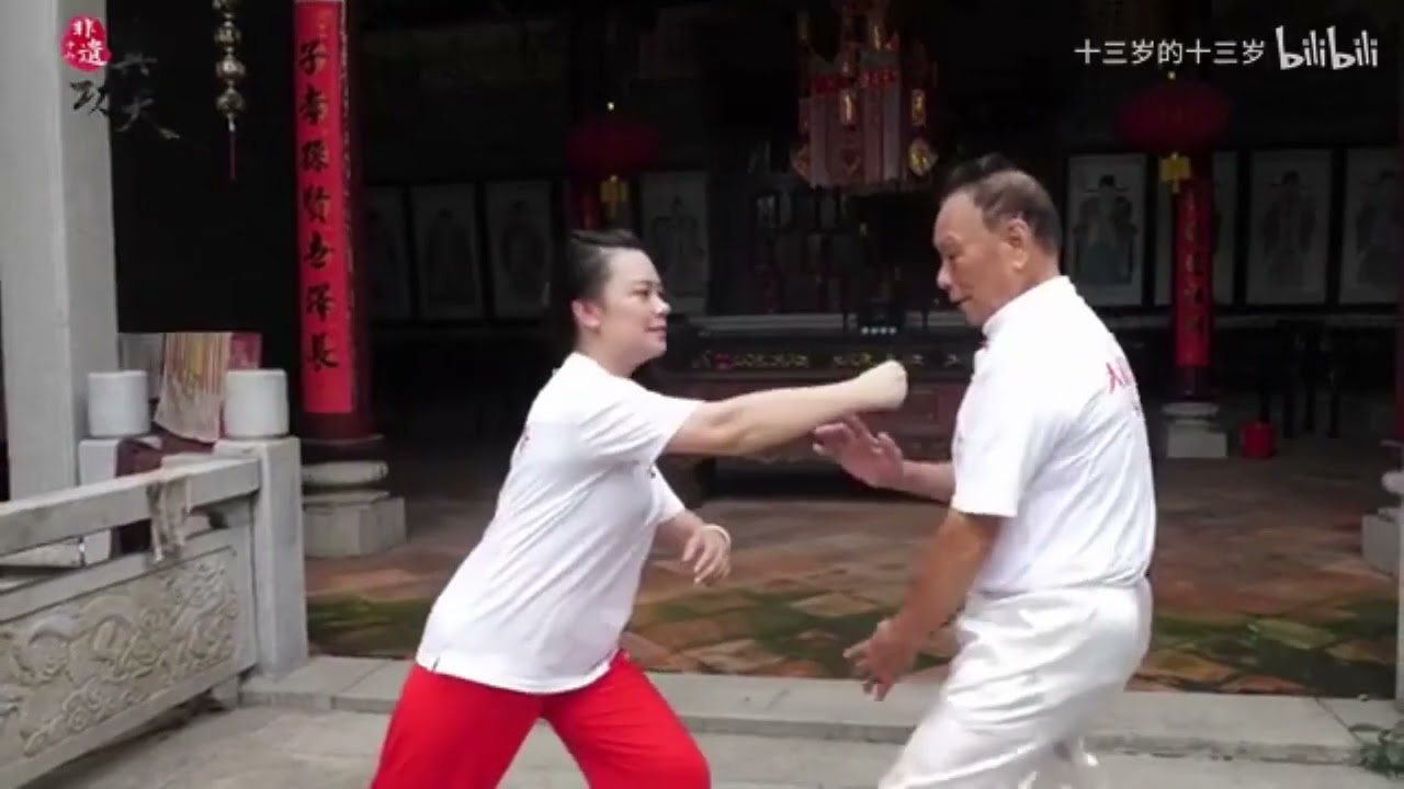 Guandong Lau Gar Kuen 广东 刘家拳 - Short Docu + Extras