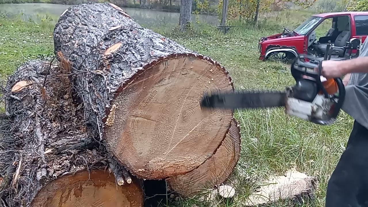 big wood ported sthil ms661 10+hp build