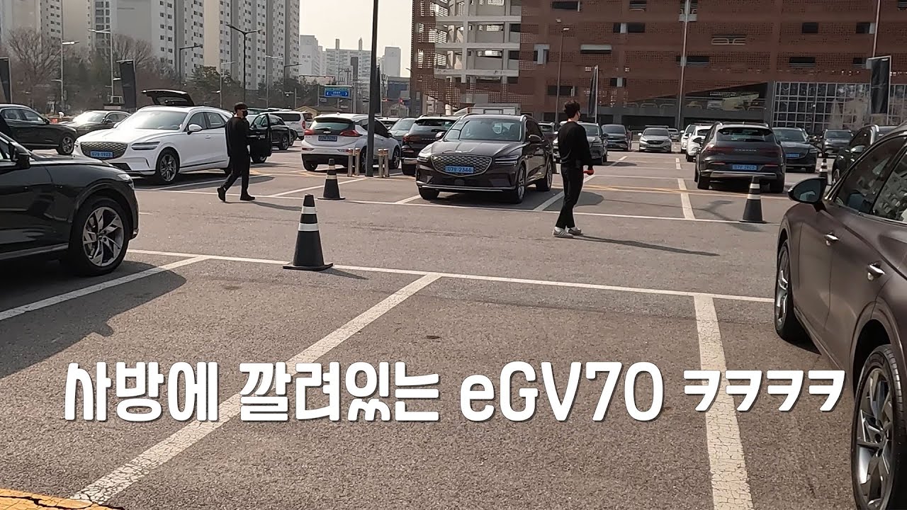 eGV70 무한증식