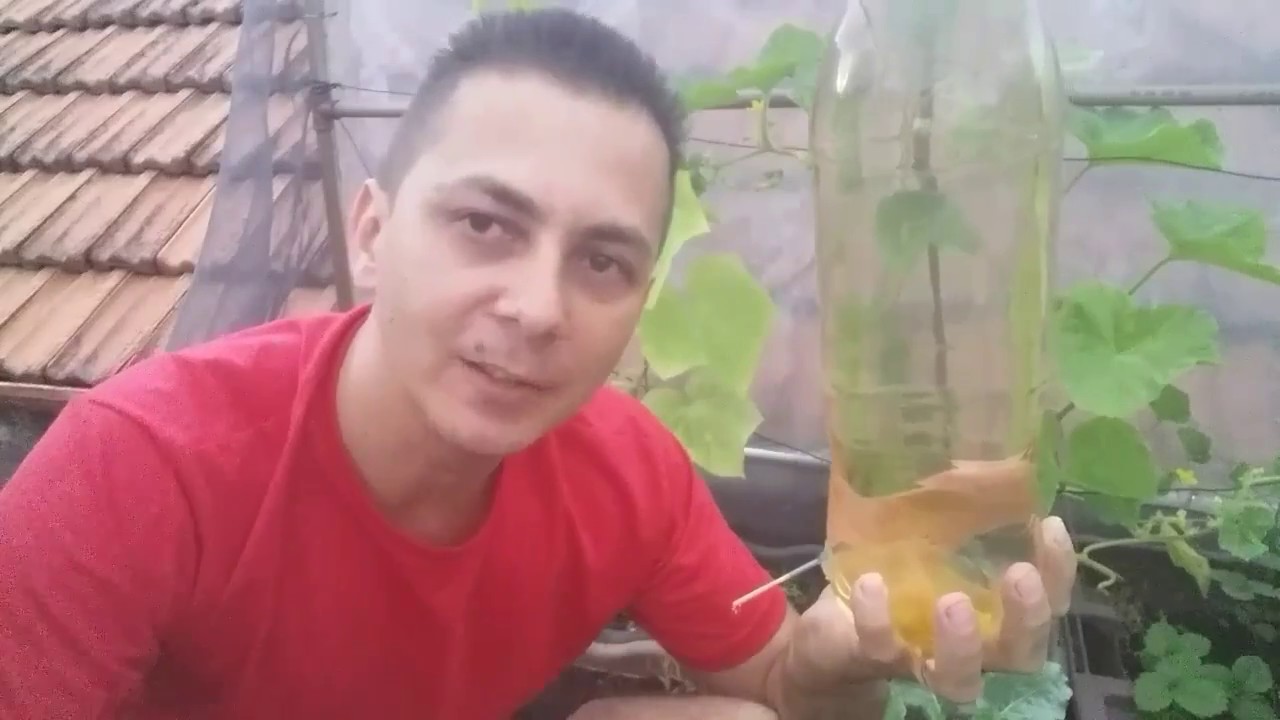 Gotejador  caseiro de garrafa pet, compartilhe conhecimento