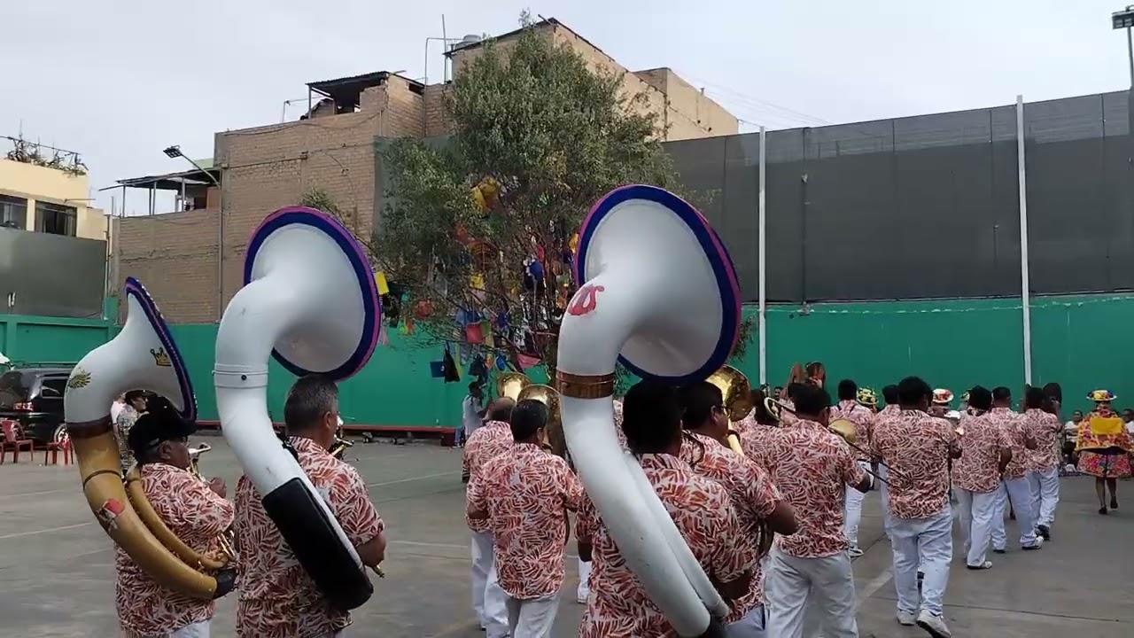 CARNAVALES 2026. hijos de Congas. 