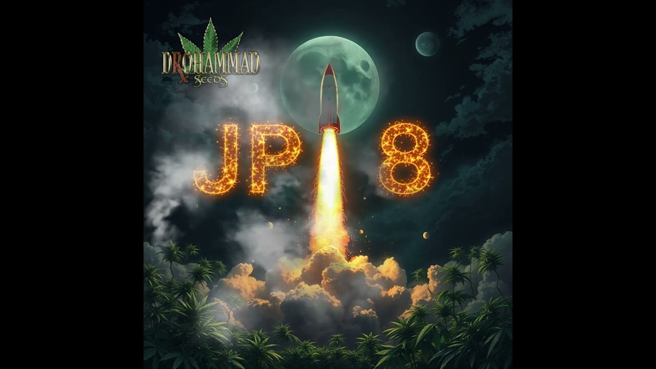 Drohammad - JP8