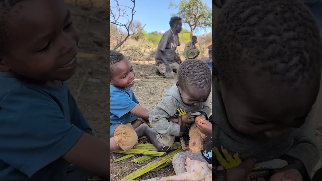 The daily life and diet of the Hazarbi tribe 