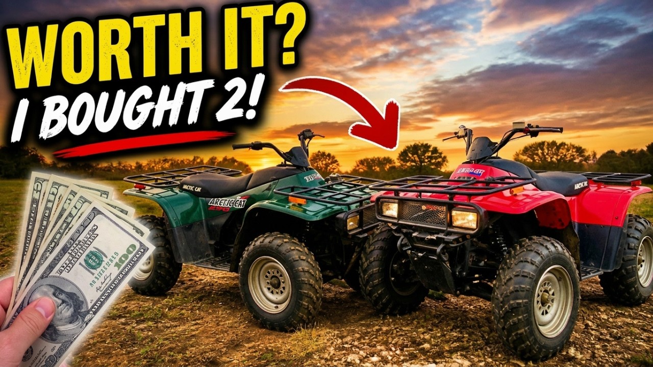 Моя первая поездка на квадроцикле Arctic Cat 250 — стоит ли он своих денег?