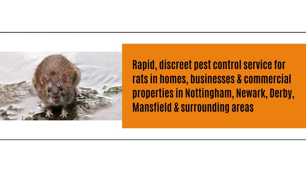 Urgent Pest Control - industrial pest control services - household pest control