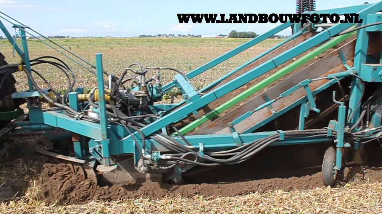 ©LANDBOUWFOTO.NL - Fa. Smakman aan het bollenrooien!