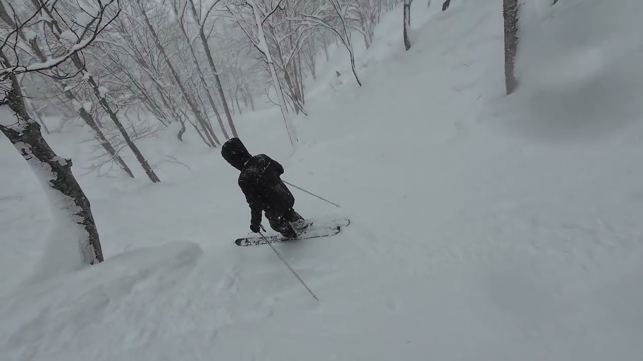 Madarao 25.1.26