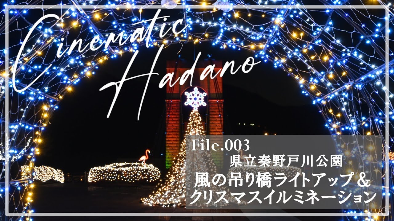 【Cinematic Hadano】File 003「県立秦野戸川公園 風の吊り橋ライトアップ＆クリスマスイルミネーション」