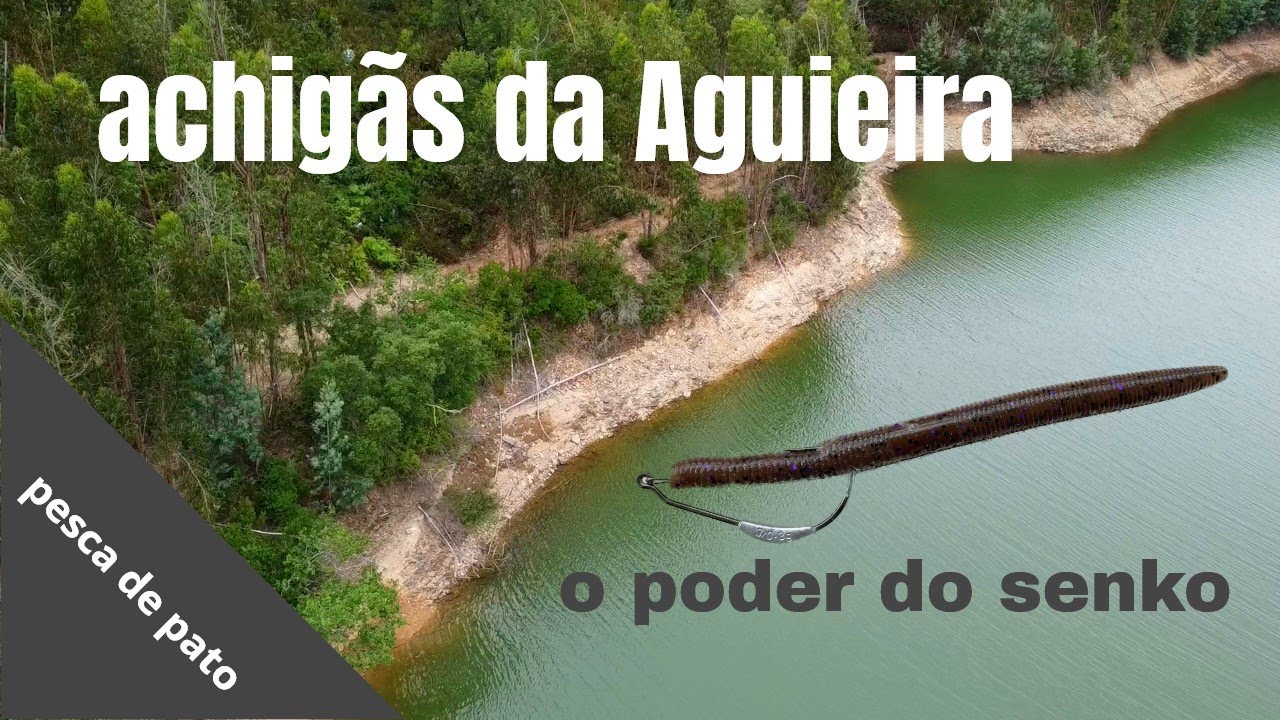 Achigãs da Aguieira com senko