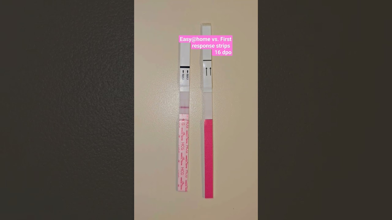 16 dpo first response vs. easy@home #baby #pregnancy #pregnant #pregnancytest #livepregnancytest