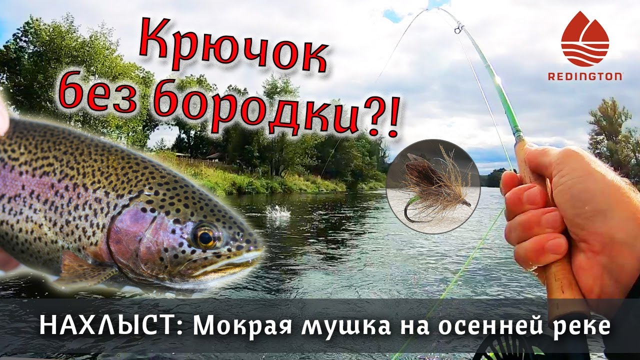 НАХЛЫСТ: мокрая мушка и безбородый крючок. Злобная радужная форель вырывает удочку из рук!