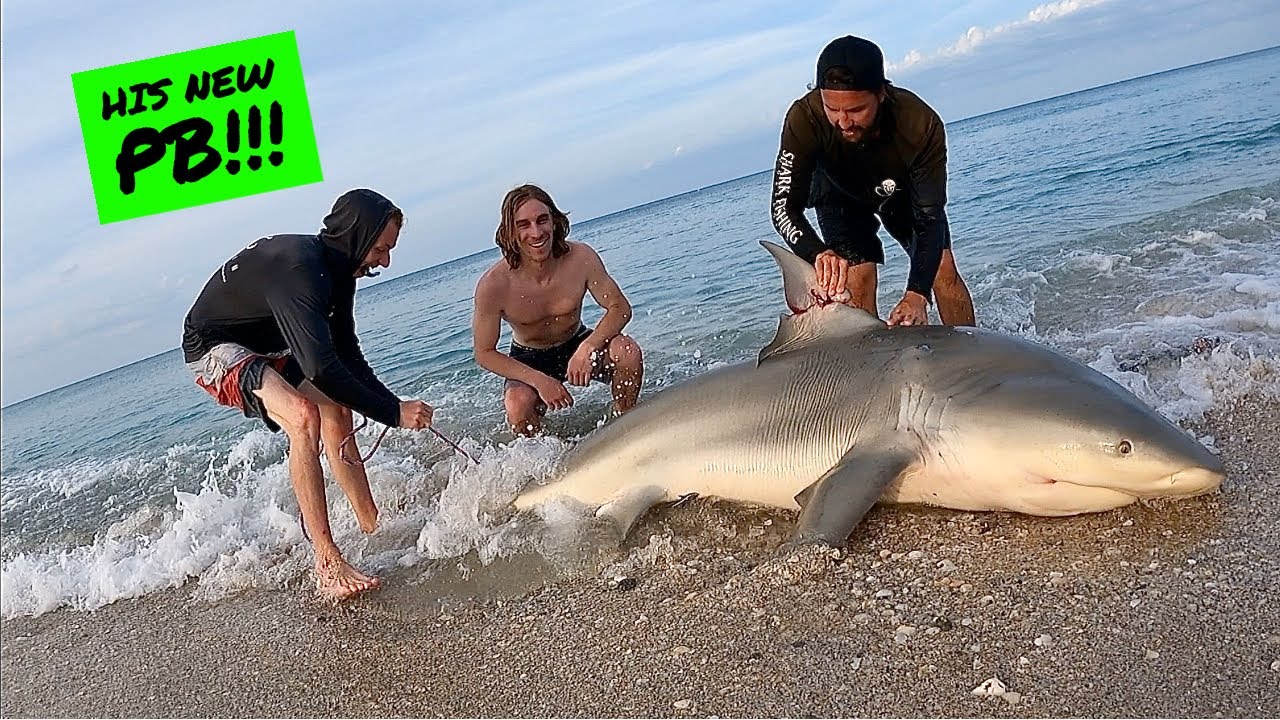 We Saved This Shark!!! | Shark Fishing From The Beach