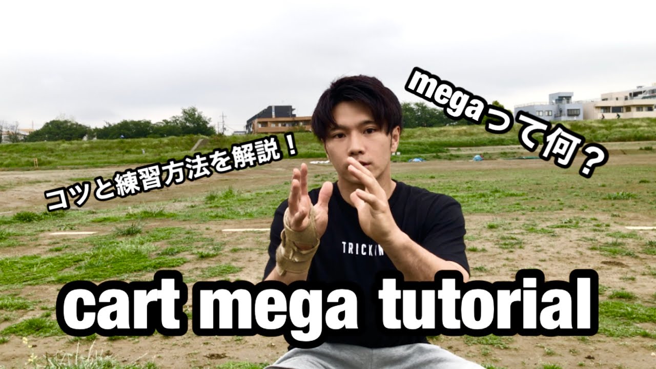 cart mega tutorial