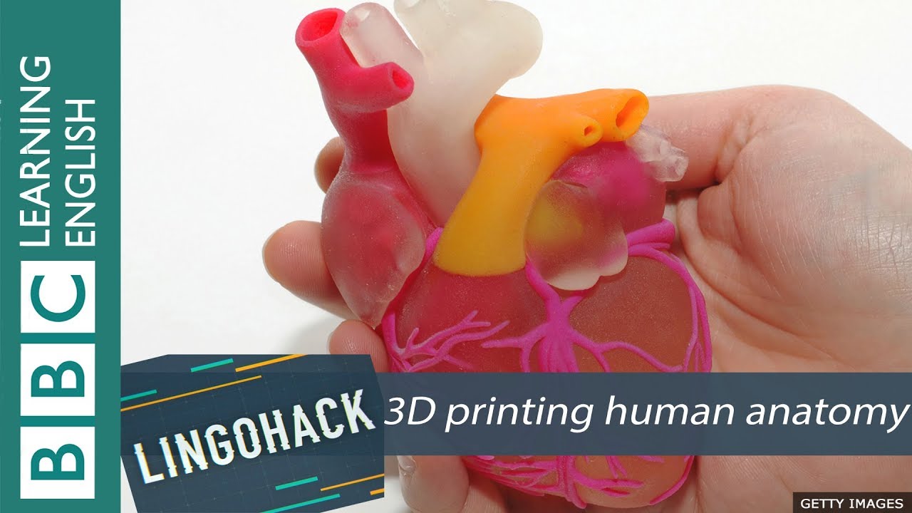 3D printing human anatomy: Lingohack