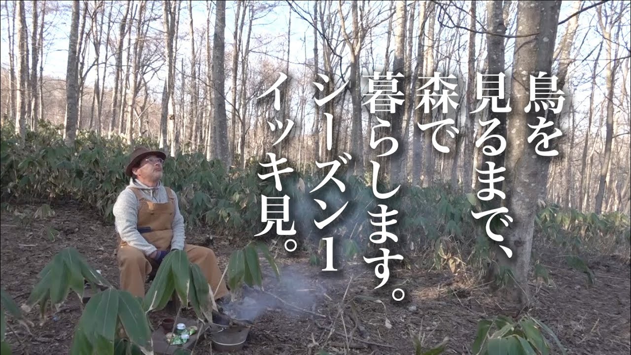 《イッキ見１》水曜どうでしょうハウスで野鳥観察の刑。シーズン１（一日目〜三日目）