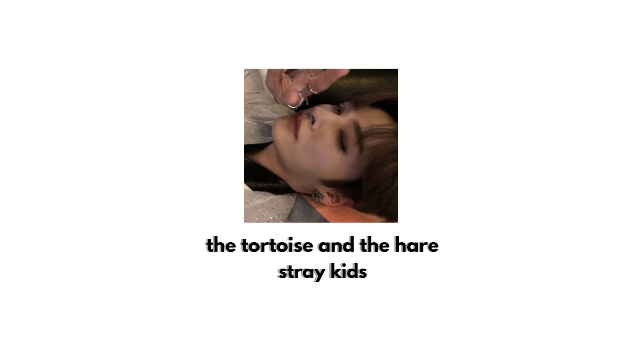 the tortoise and the hare - stray kids (sped up)