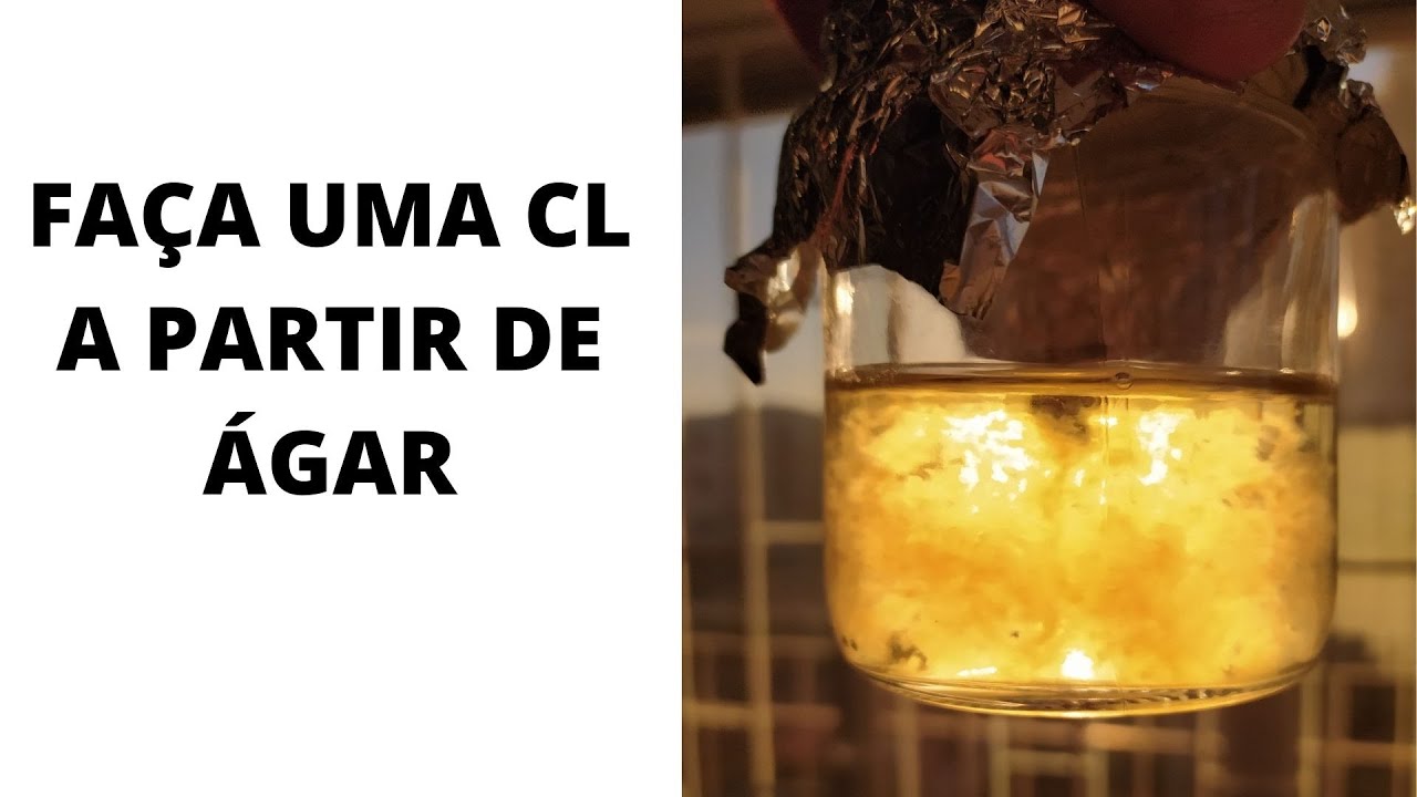 Inoculação de CULTURA LÍQUIDA via ÁGAR usando uma GLOVEBOX