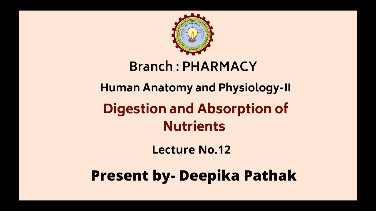 Human Anatomy & Physiology-II | Digestion and Absorption of Nutrients | AKTU Digital Education
