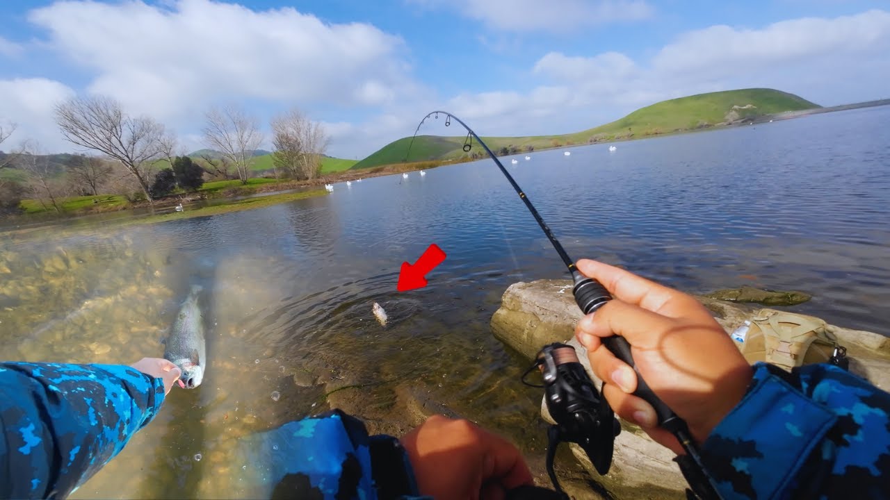 Chasing Rainbow Trout! He Caught a MONSTER (Tough Day) | Bay Area Trout Fishing