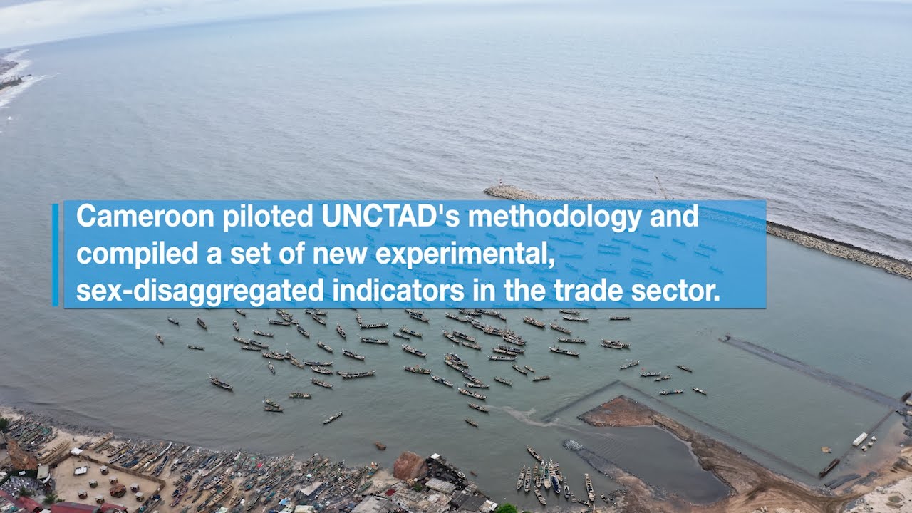 Measuring Gender Equality in Trade Statistics in Cameroon (UNCTAD)
