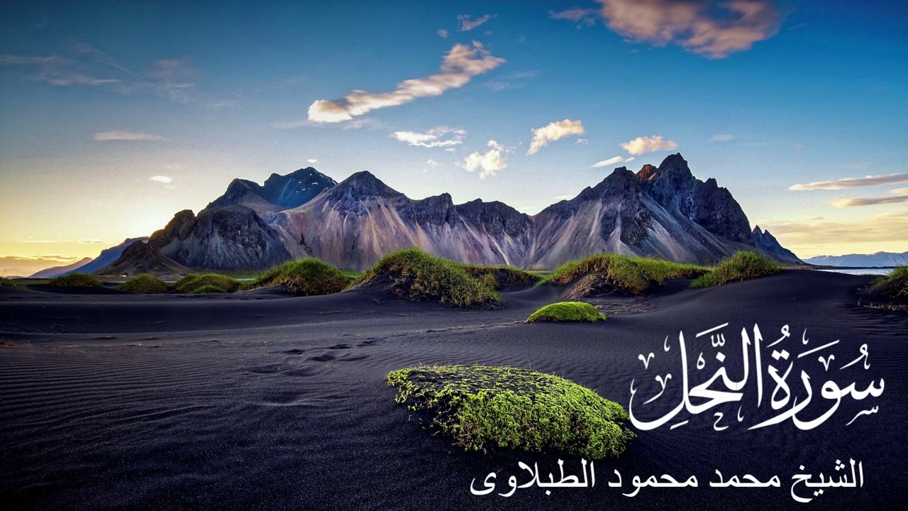 سورة النحل - تلاوة الشيخ محمد محمود الطبلاوى