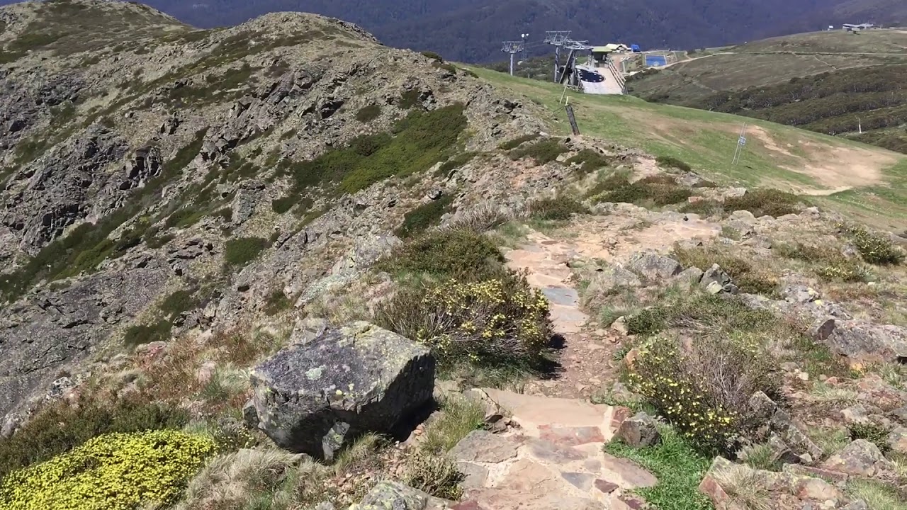 TOP TIP OF MT BULLER - MT BULLA WALK - MT BULLA VIEWS