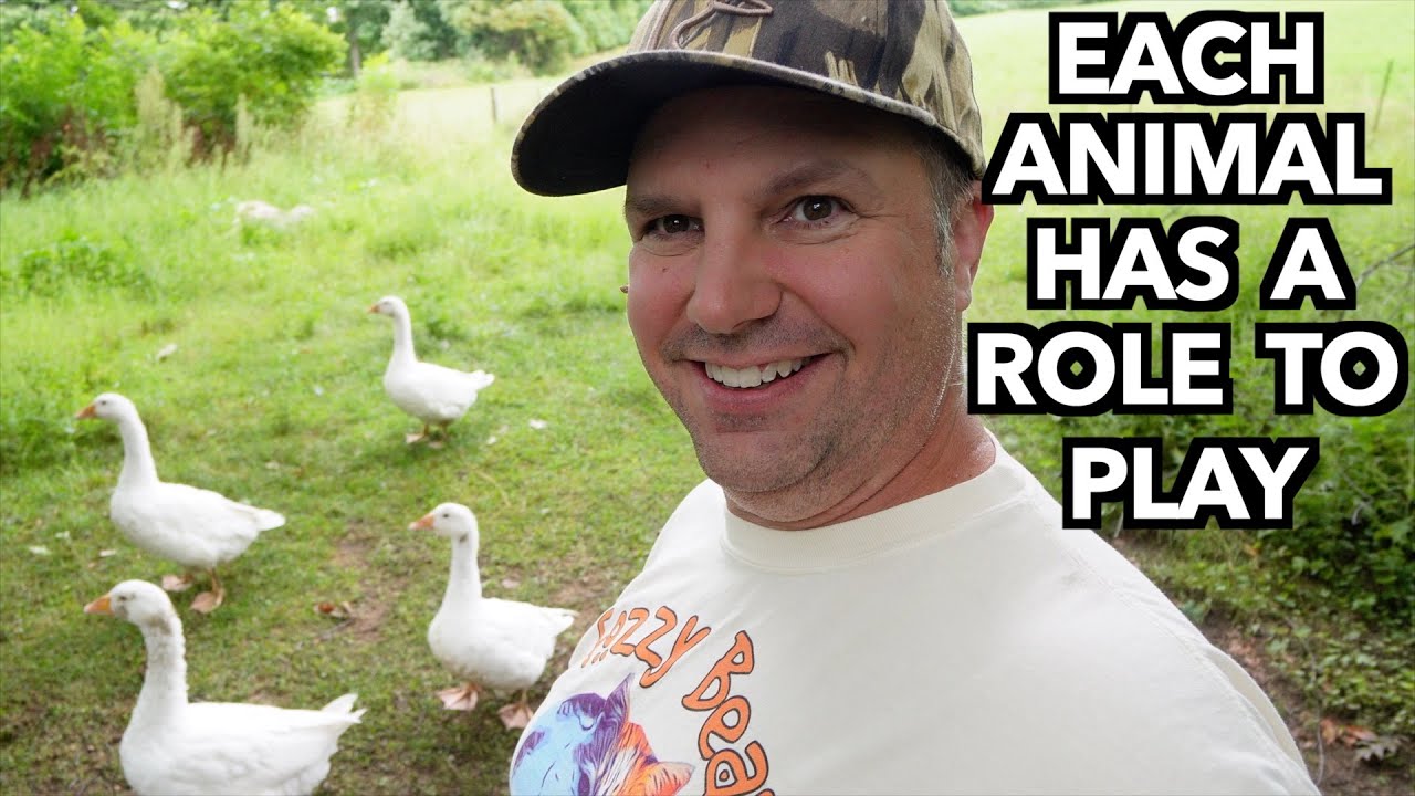 Every Animal has a Purpose on our Farm