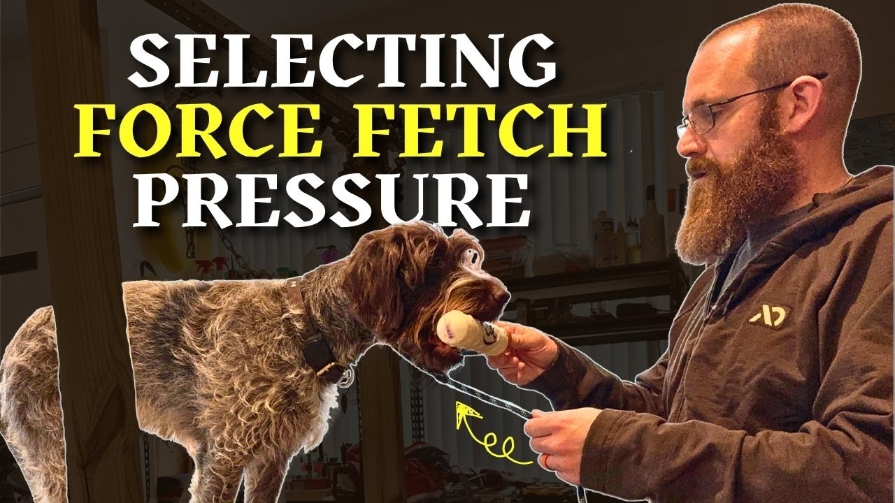 Which TYPE of Force Fetch Pressure is the BEST for YOU?
