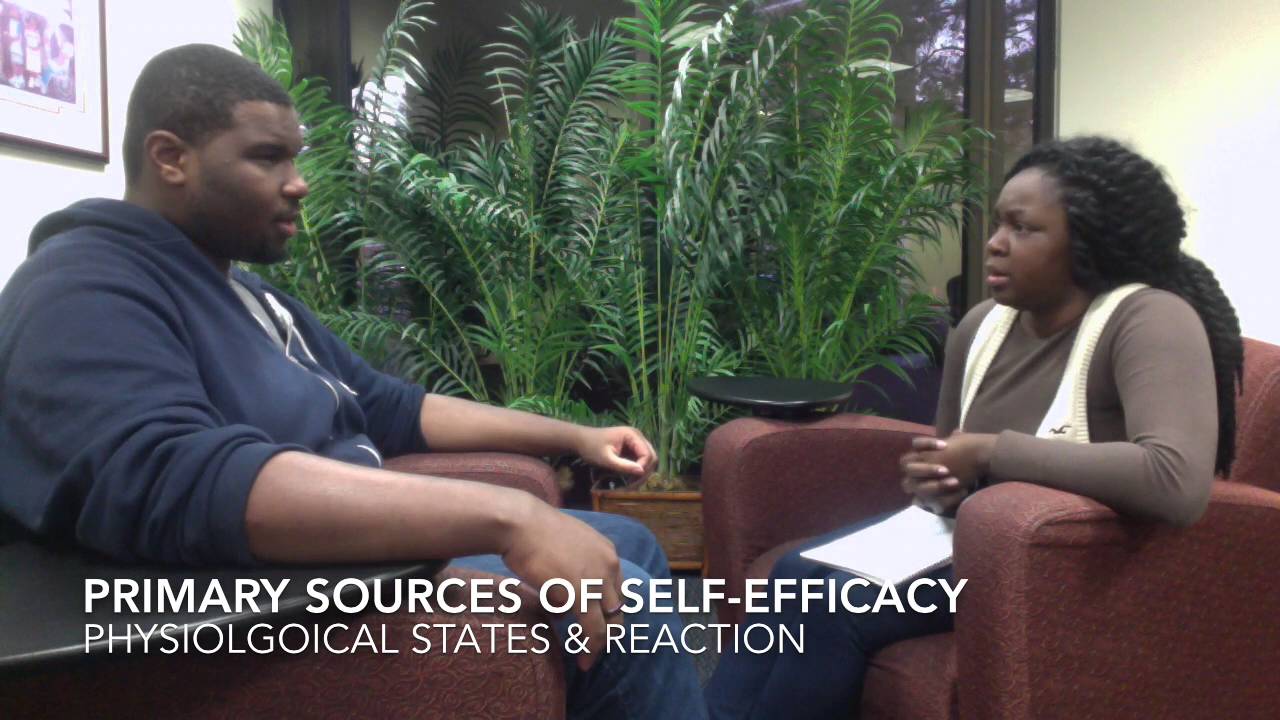 Social Cognitive Career Theory