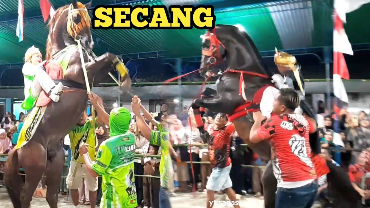 FINISH ARAK ARAKAN KUDA JINGKRAK DESA SECANG NGOMBOL | 16 JAN 2026