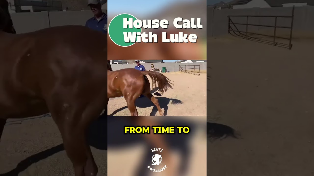 Got a spooky horse?