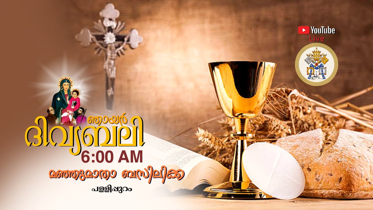 Sunday Holymass 15/02/2026 @6.00AM From Manjumatha Basilica Pallipuram