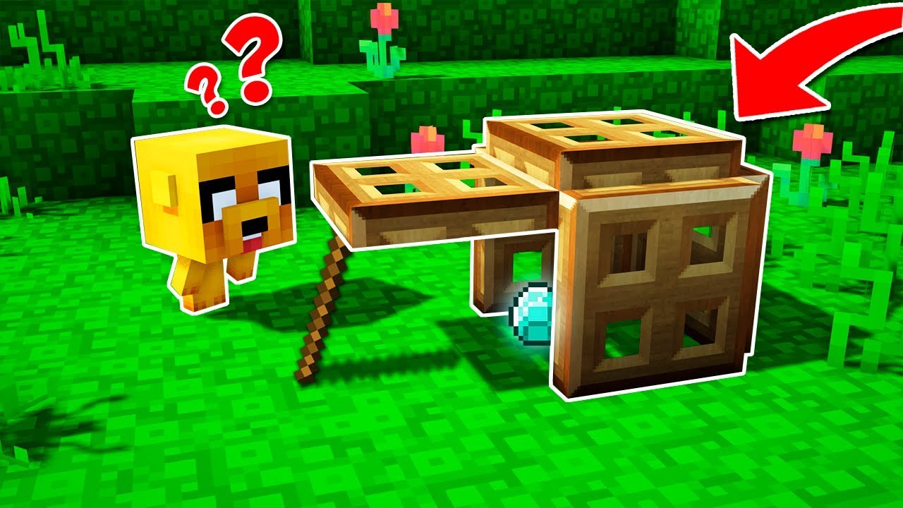 LA MEJOR TRAMPA PARA PERROS 😂 MINECRAFT TROLL