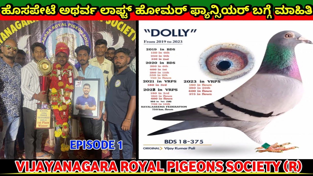 ✨ಹೊಸಪೇಟೆ ಅಥರ್ವ ಲಾಫ್ಟ್ ಹೋಮರ್ ಫ್ಯಾನ್ಸಿಯರ್ ಬಗ್ಗೆ ಮಾಹಿತಿ ❤️‍🔥@hassanpigeon3878 💥