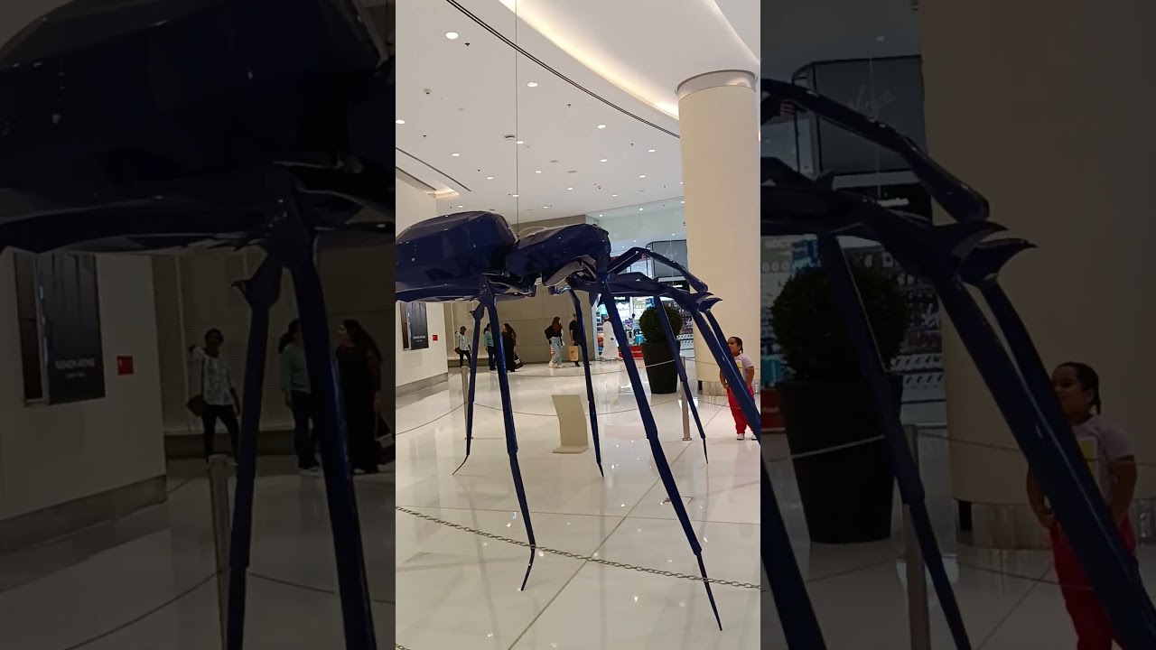 Dubay mall.# .came #.,