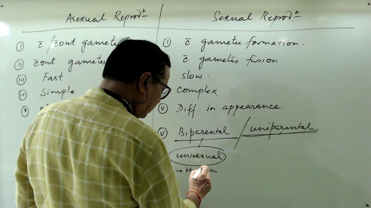 Human Reproduction Class 12 | ZPB SIR | CBSE I NEET @MuzzammilSiddiquiSir
