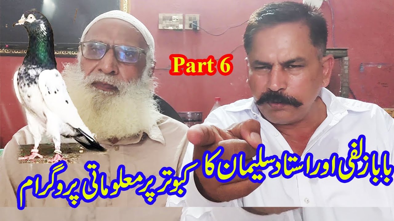ustad suleman and baba zulfi's informative program on pigeons