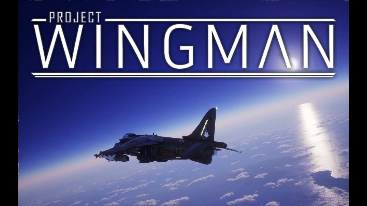 This Aviation Game it's the greatest! | Project Wingman First Impressions