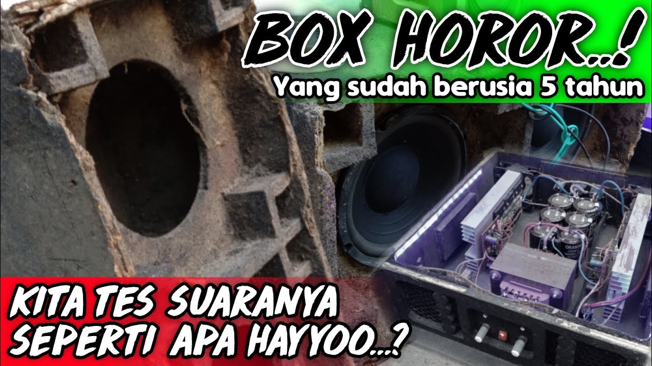 Box Seperti ini yang bikin banyak NETISOUND penasaran dengan suaranya.???