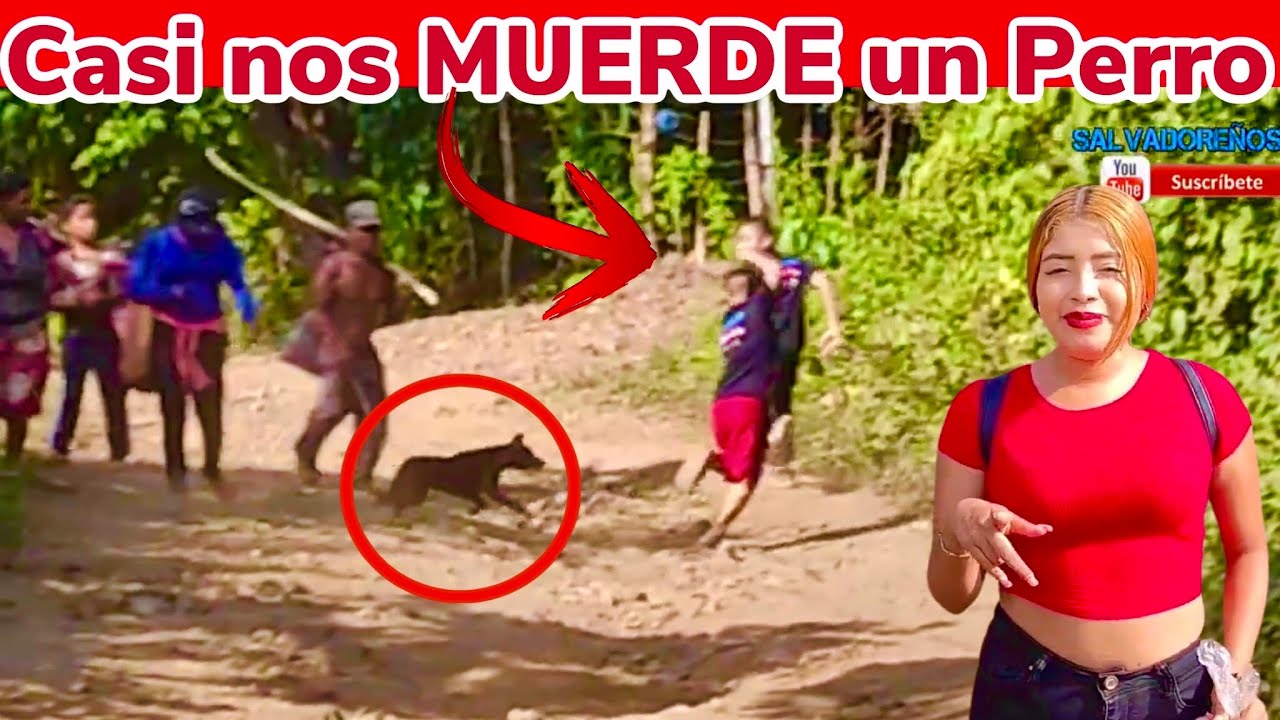 CAMINATA desde IZALCO HASTA la SEDE de SALVADOREÑOS TV. #caminata #caminatas #perros #perro #campo