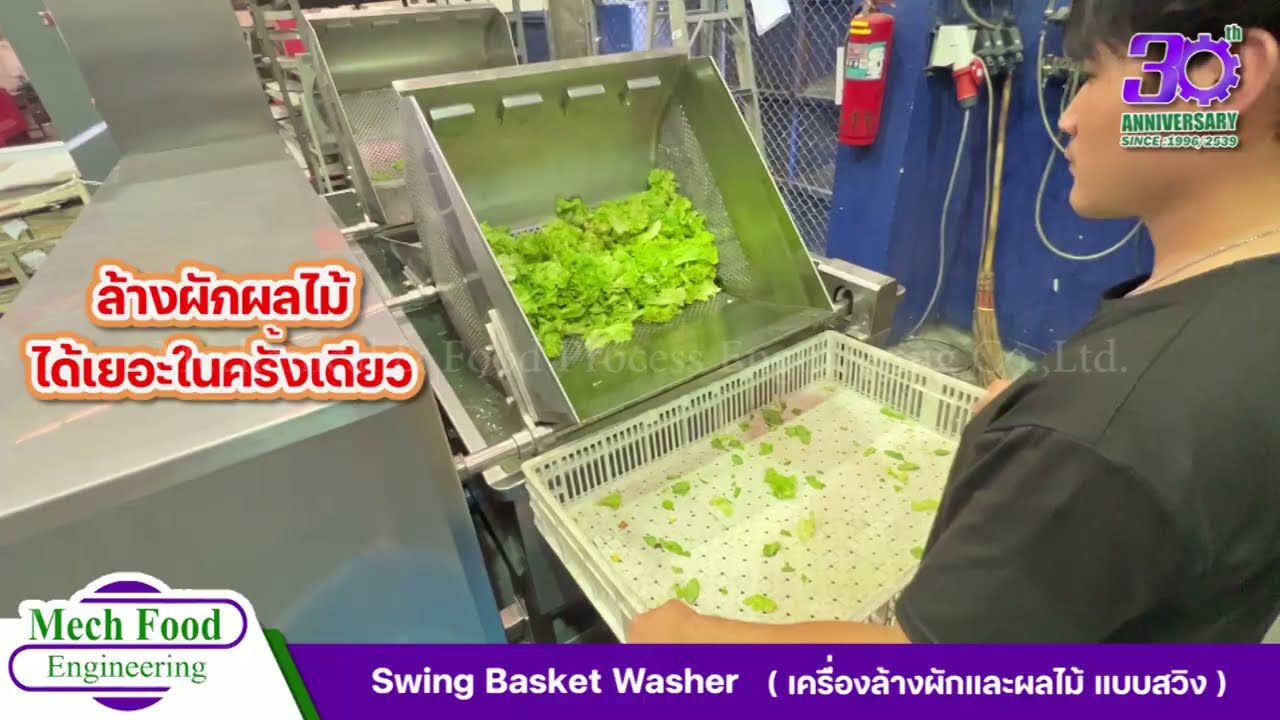 Swing Basket Washer (เครื่องล้างผัก ผลไม้ แบบสวิง) By Mechfood