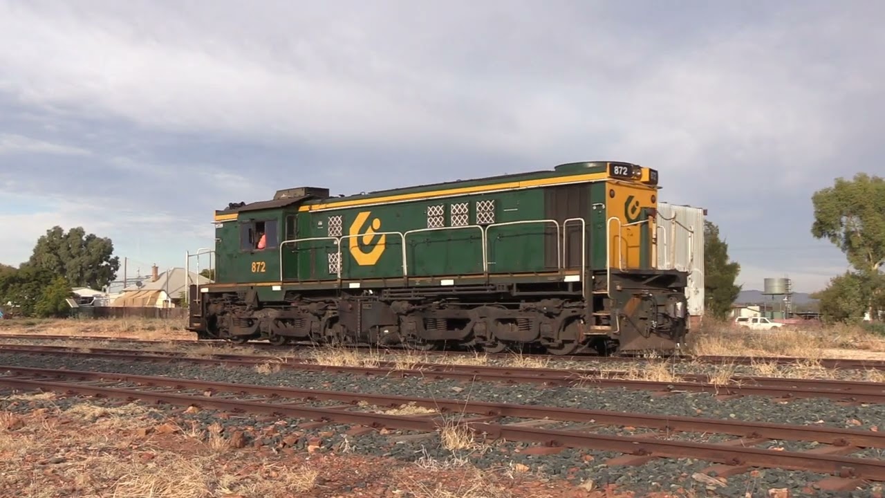 Just the Shunt: Lake Cargelligo: Qube train 9365 with locomotives 864 852 4814 872. 25 May 2023.