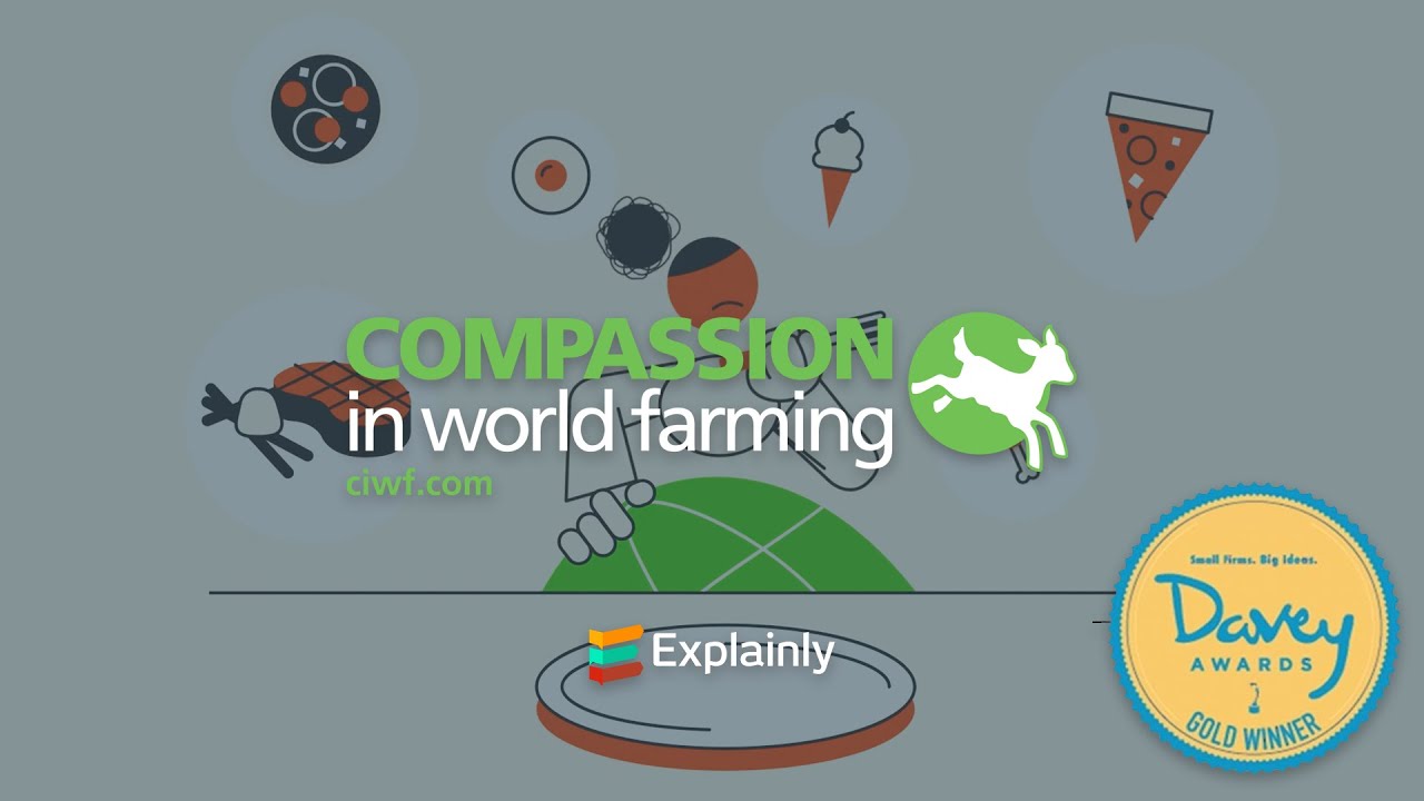 Compassion In World Farming: Evaluate Your Plate - Animated Explainer Video