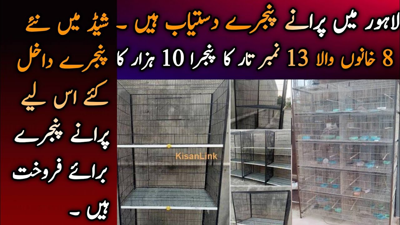 Lahore Old Cage | 8 Portion Iron Cage Available At Cheep Price | @PICAVIARY