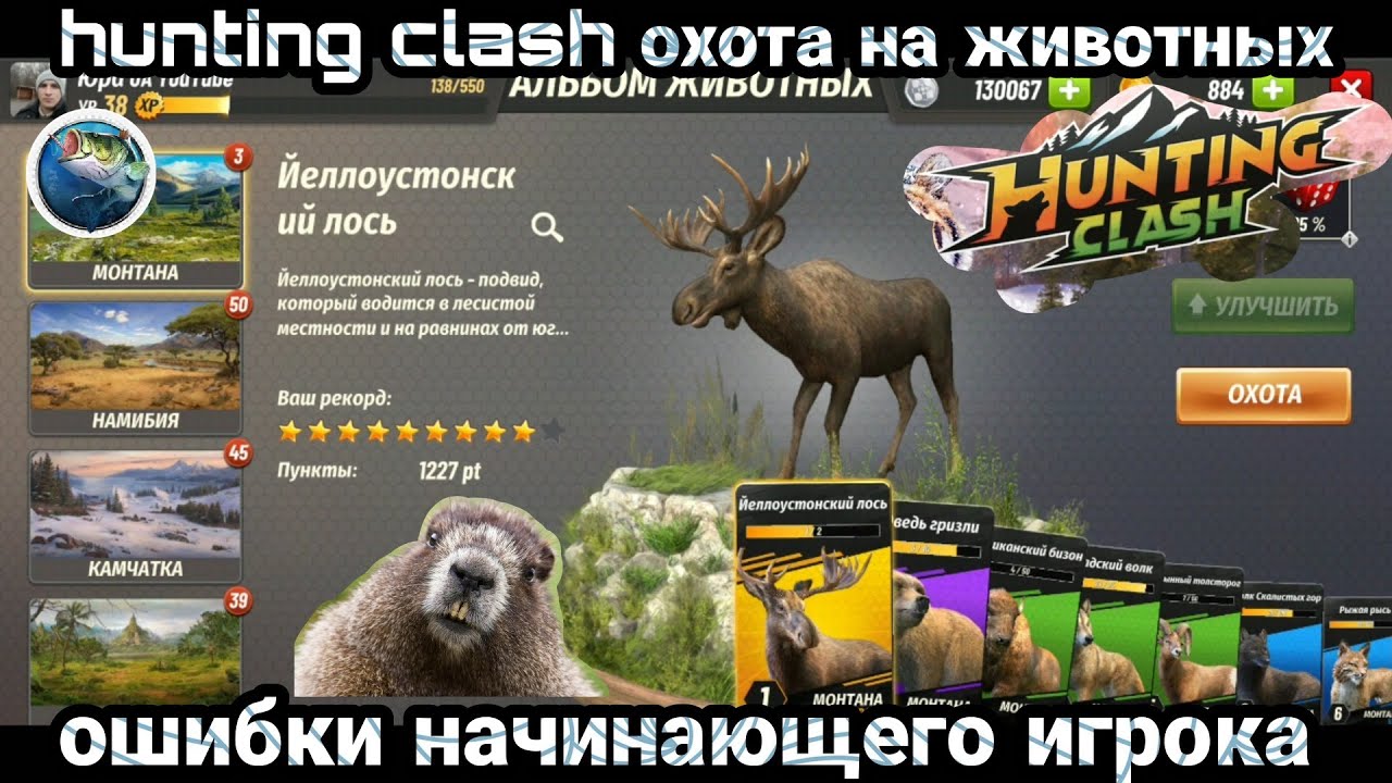 Ошибки начинающего игрока в игре hunting clash охота на животных / как правильно играть