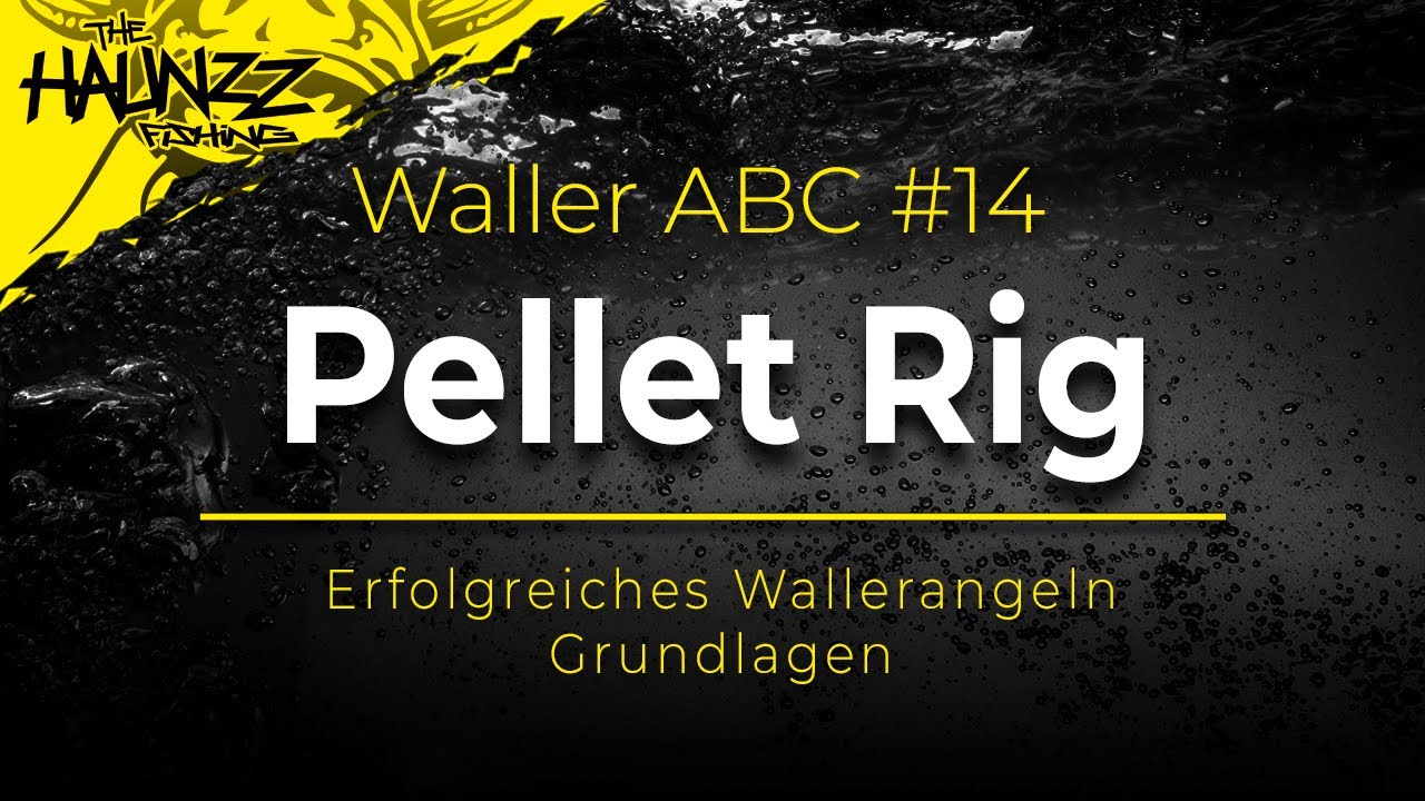 WALLER ABC | Das PELLET RIG | Wallermontage
