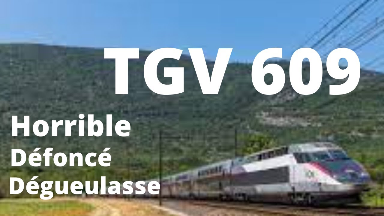 Un parigot prend le TGV 😂