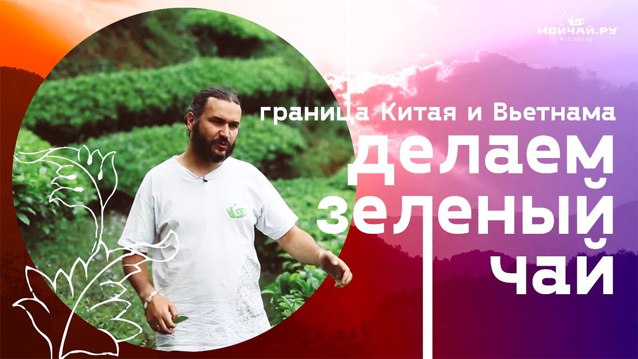 Делаем зеленый чай. Граница Китая и Вьетнама.