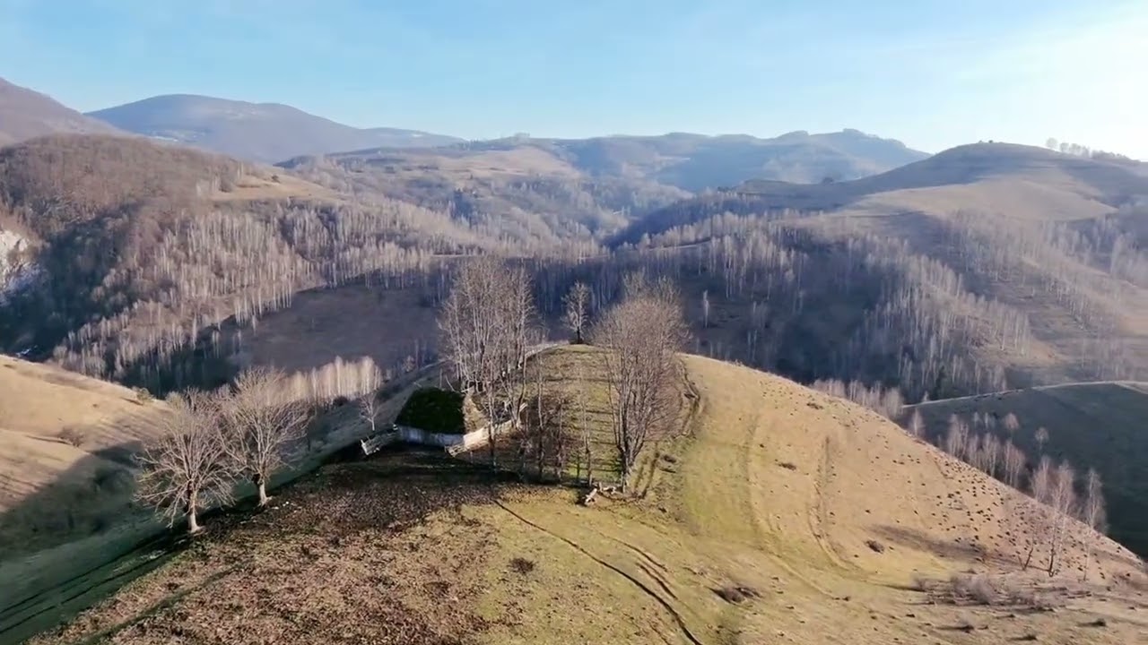 Dumești, Alba - 01.03.2026