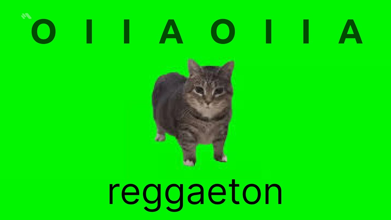 OIIAOIIA reggaeton 4K (Spinning Cat) Happy